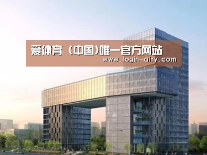 案例展示四