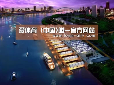 案例展示八