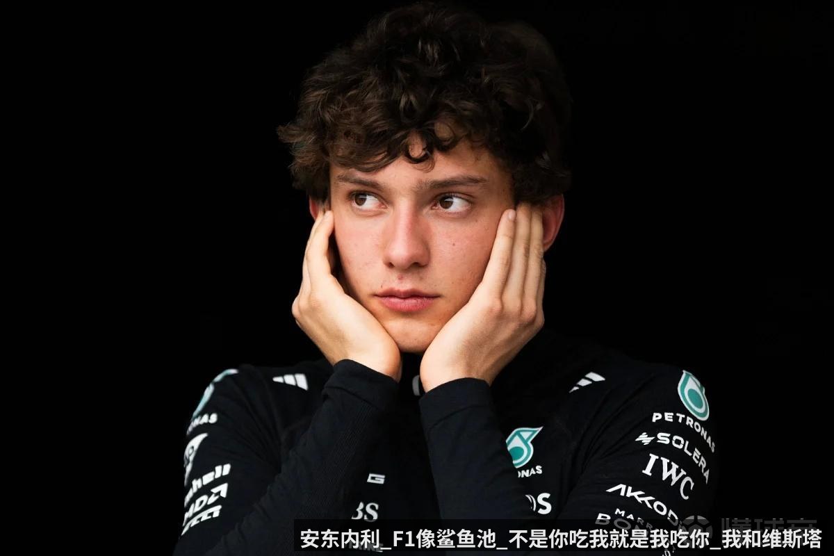 安东内利_F1像鲨鱼池_不是你吃我就是我吃你_我和维斯塔潘很好